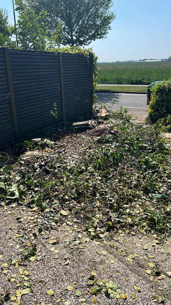 Tuin